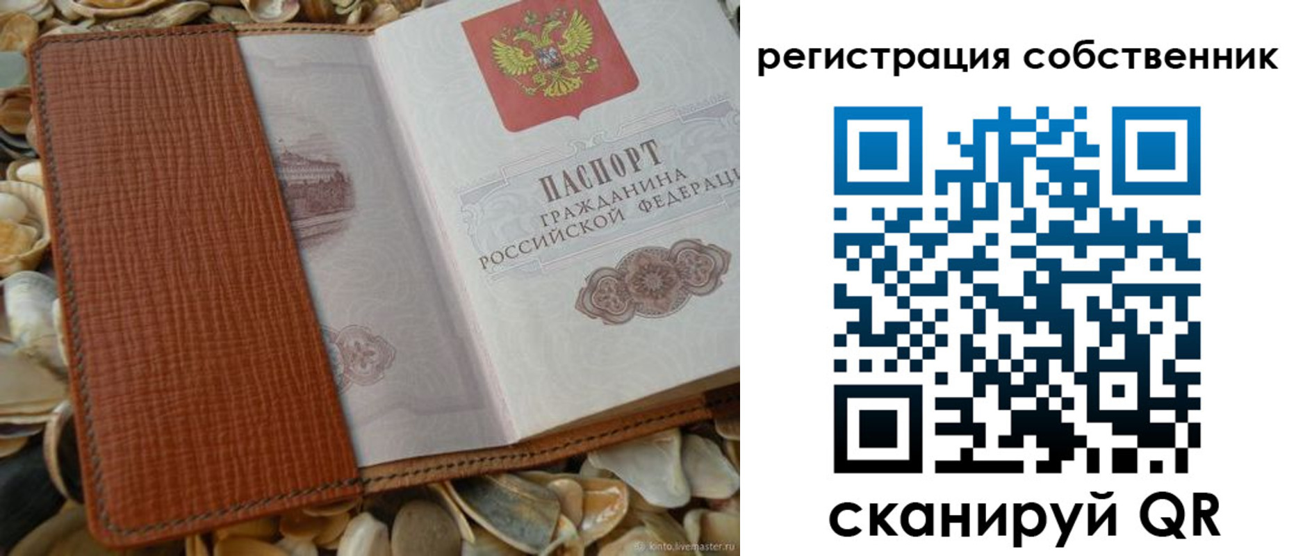 временная регистрация для школы в Чапаевске